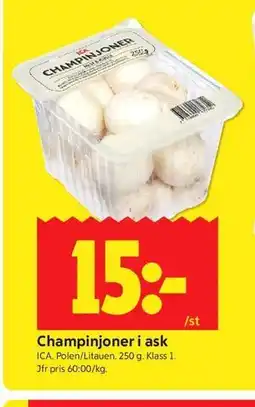 ICA Kvantum Champinjoner i ask erbjuda