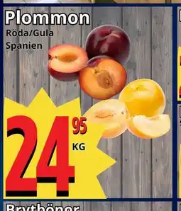 Supergrossen Plommon erbjuda
