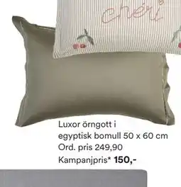 Hemtex Luxor örngott i egyptisk bomull erbjuda