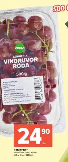 Röda druvor