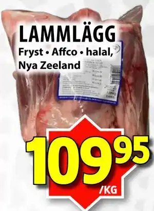 LAMMLÄGG