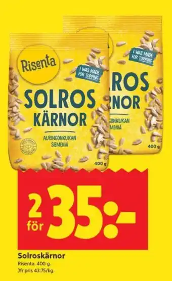 Risenta solroskärnor