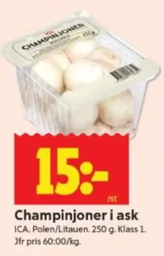 ICA Supermarket Champinjoner i ask erbjuda