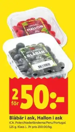 ICA Supermarket Blåbär i ask, Hallon i ask erbjuda