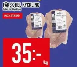 Matdax Färsk hel kyckling erbjuda