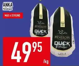 Matdax Anka penelope duck erbjuda