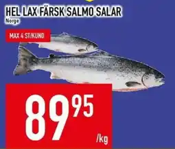 Matdax Hel lax färsk salmo salar erbjuda