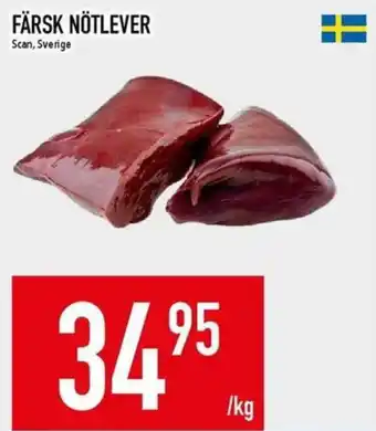 Matdax Färsk nötlever erbjuda