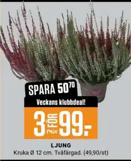 ÖoB Ljung erbjuda