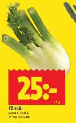 ICA Supermarket Fänkål erbjuda