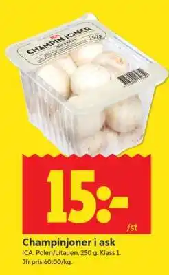 ICA Supermarket CHAMPINJONER I ASK erbjuda