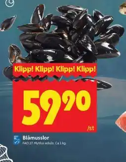 ICA Supermarket Blåmusslor erbjuda