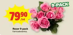 Stora Coop ROSOR 9-PACK erbjuda