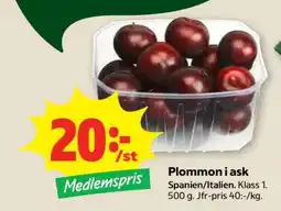 Stora Coop Plommon i ask erbjuda