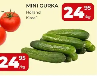 Matrix Butikerna Mini gurka erbjuda