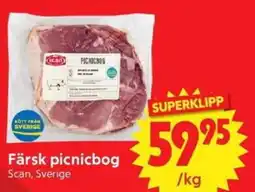 Nya Pulsen Scan färsk picnicbog erbjuda