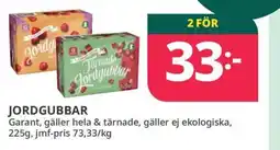 Tempo Garant jordgubbar erbjuda