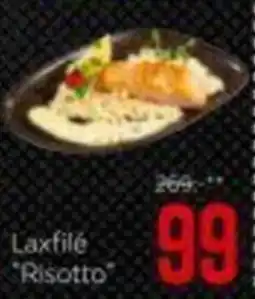 XXXLutz Laxfilé Risotto erbjuda