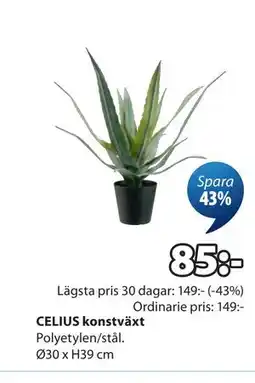 JYSK CELIUS konstväxt erbjuda