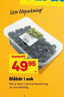 City Gross Blåbär i ask erbjuda