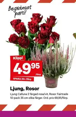 City Gross Ljung, Rosor erbjuda