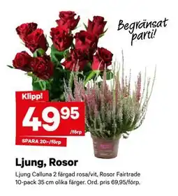 City Gross Ljung, Rosor erbjuda