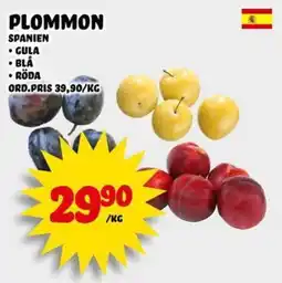 Nelins Plommon erbjuda