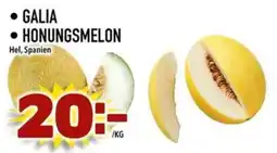 Din Mat Galia honungsmelon erbjuda