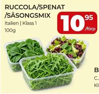 Ruccola/spenat/säsongs mix