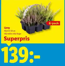 Lidl Ljung erbjuda