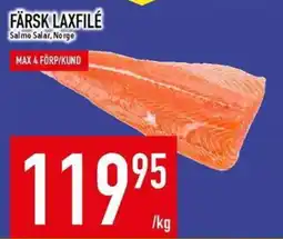 Matdax Färsk laxfilé erbjuda
