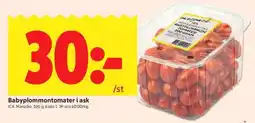 ICA Kvantum Babypломmontomater erbjuda