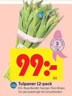 ICA Kvantum Tulpaner 12-pack erbjuda