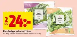 ICA Kvantum ICA finbladiga sallater erbjuda