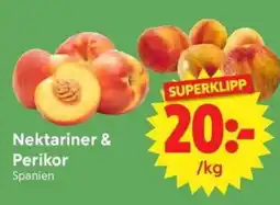 Nya Pulsen Nektariner & Perikor erbjuda
