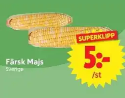Nya Pulsen Färsk Majs erbjuda