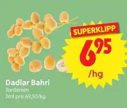 Nya Pulsen Dadlar Bahri erbjuda