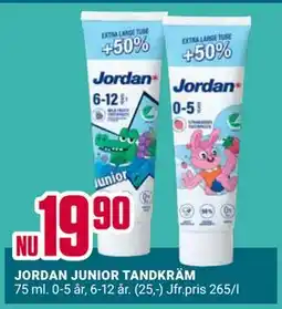 ÖoB JORDAN JUNIOR TANDKRÄM erbjuda