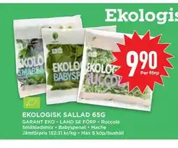 Willys EKOLOGISK SALLAD 65G erbjuda