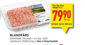 BLANDFÄRS