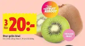 Stor grön kiwi