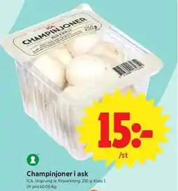 ICA Nära Champinjoner i ask erbjuda
