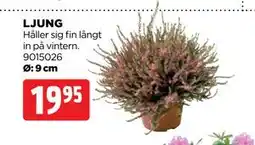 Jem&Fix LJUNG erbjuda