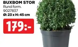 Jem&Fix BUXBOM STOR erbjuda