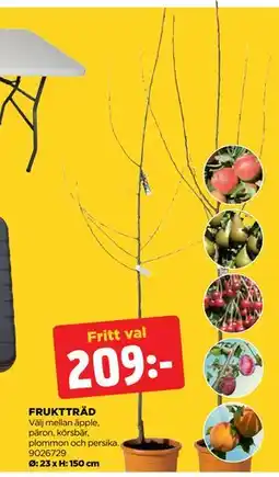 Jem&Fix FRUKTTRÄD erbjuda