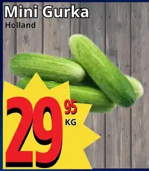 Mini Gurka