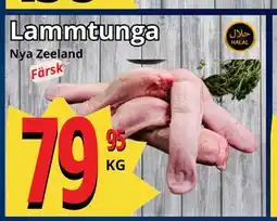 Supergrossen Lammtunga erbjuda