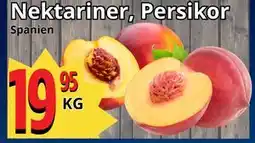 Supergrossen Nektariner, Persikor erbjuda