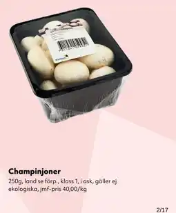 MatArket Champinjoner erbjuda