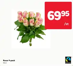 MatArket Rosor 9-pack erbjuda